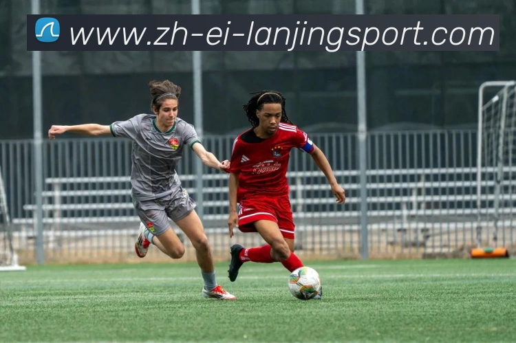 App Interface Preview